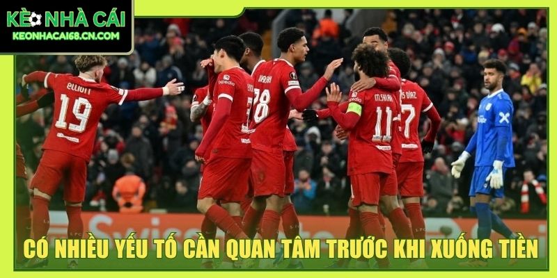 Có nhiều yếu tố cần quan tâm trước khi xuống tiền